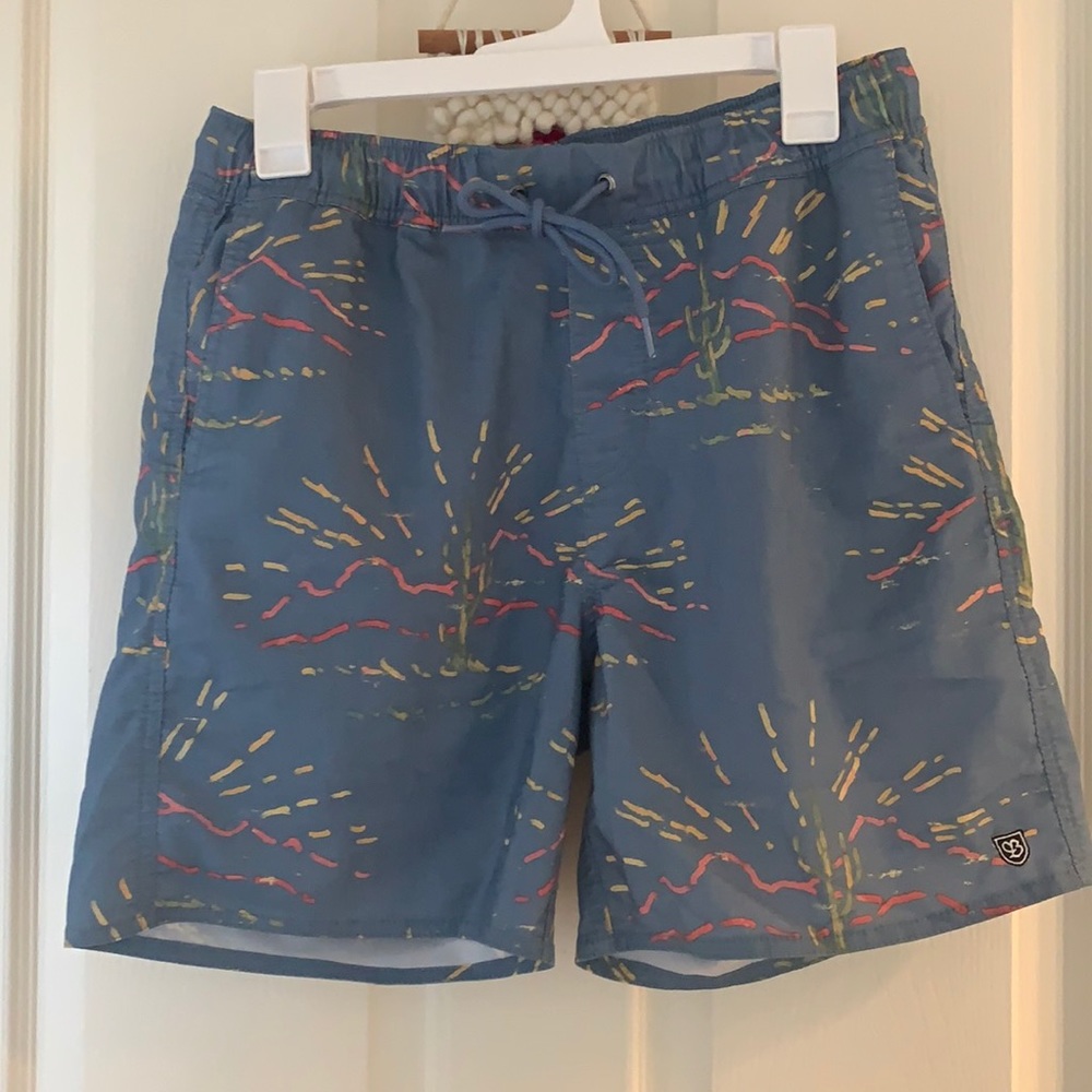 Brixton swim trunks